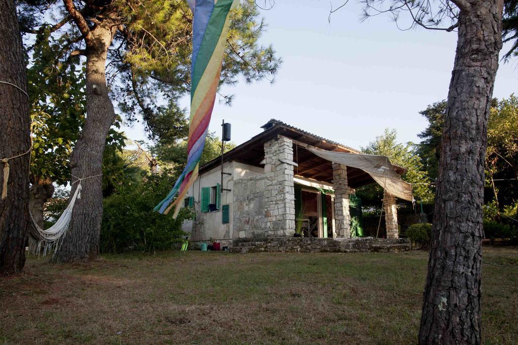 Holiday Home Dajla 35 Novigrad Istria Buitenkant foto